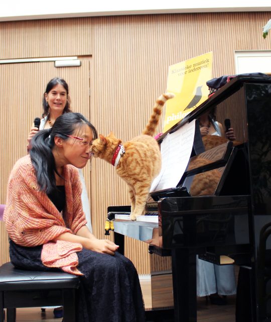 Knuffelconcert