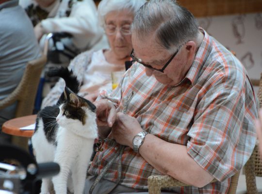 Amour Knuffelopera Slotuitvoering